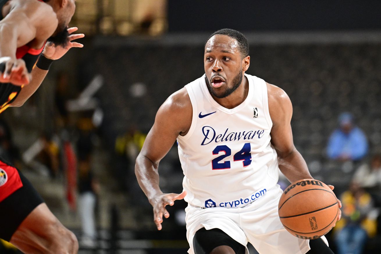 Delaware Blue Coats v College Park Skyhawks